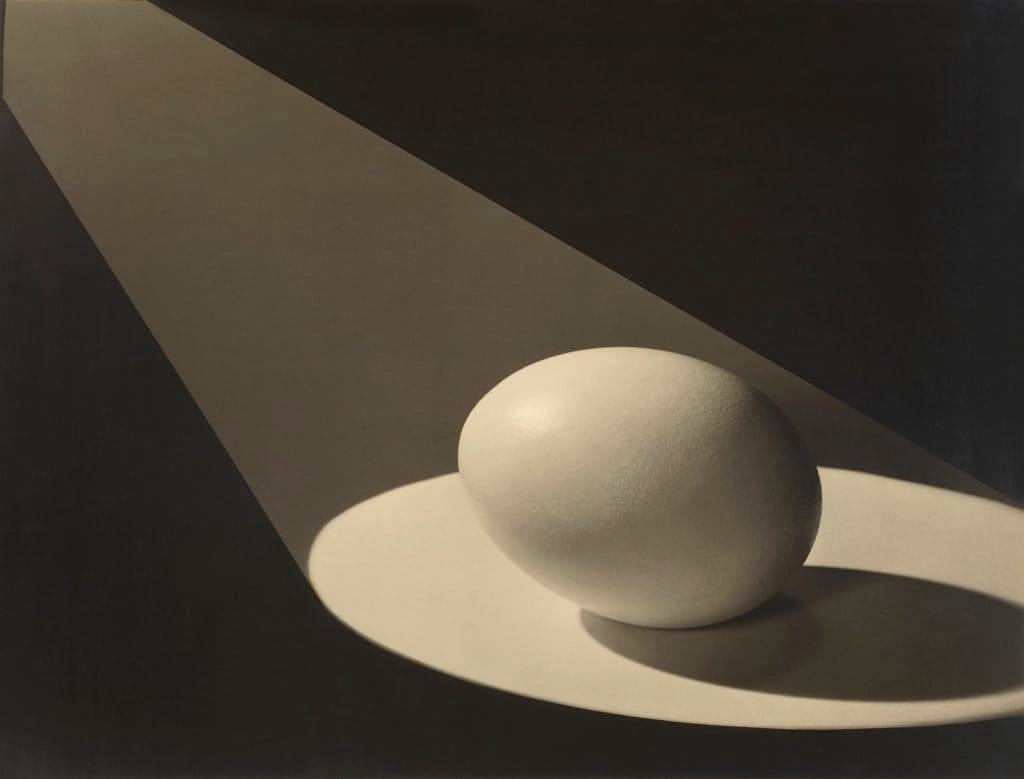 A single egg with a literal spotlight on it, a shadow protruding behind