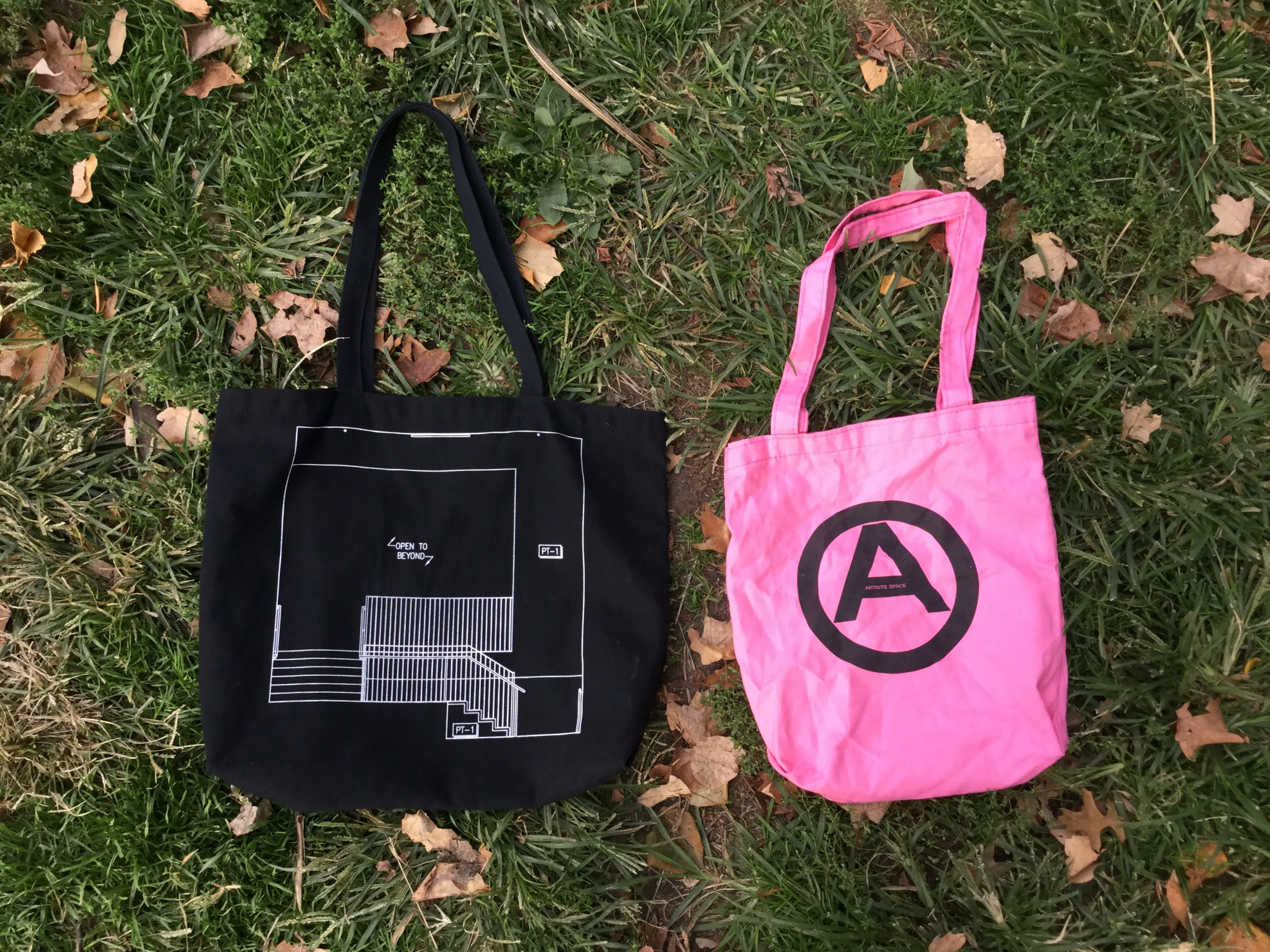Two Artists Space tote bags lay in the autumn grass. One is black with a white architectural line drawing with the phrase "OPEN TO BEYOND" at center, the other is pink with a black bold graphic of an "A" inside an outlined circle.